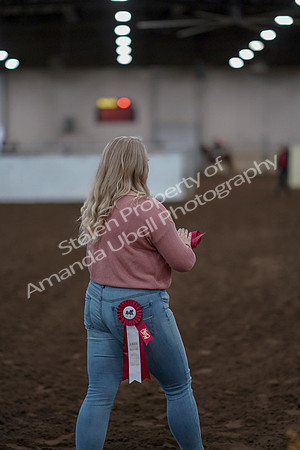 2019 Morgan Horse Show - Sept 01, 2019 - 12091