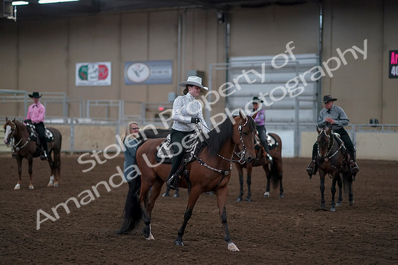 2019 Morgan Horse Show - Sept 01, 2019 - 07249