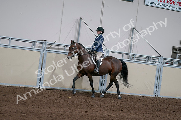 2020 - AB Morgan Horse - Fri, Sept 04 - 05913