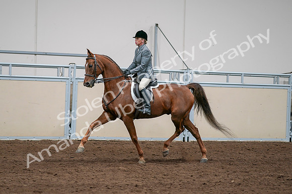 2020 - AB Morgan Horse - Sat, Sept 05 - 03075