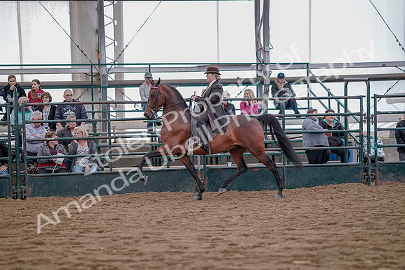 July 20, 2019 - 13879