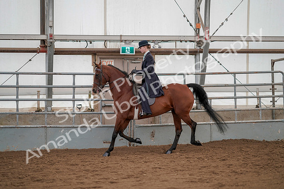 July 20, 2019 - 04309