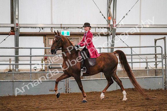 July 19, 2019 - 8739