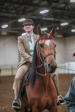 Spring Fling - Saturday - April 20, 2019  -  03879