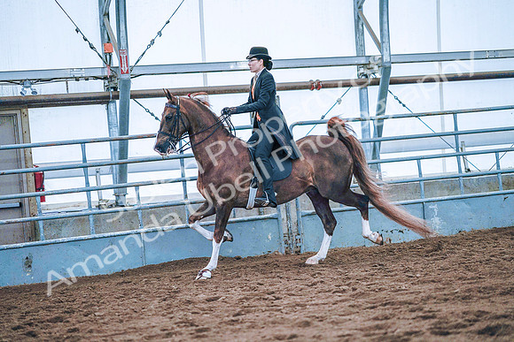 July 20, 2019 - 23737
