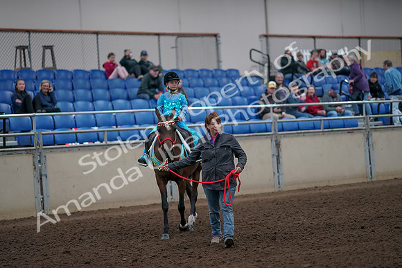 2019 Morgan Horse Show - Aug 31, 2019 - 09951