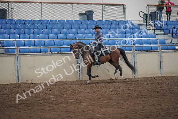 2019 Morgan Horse Show - Aug 31, 2019 - 06093