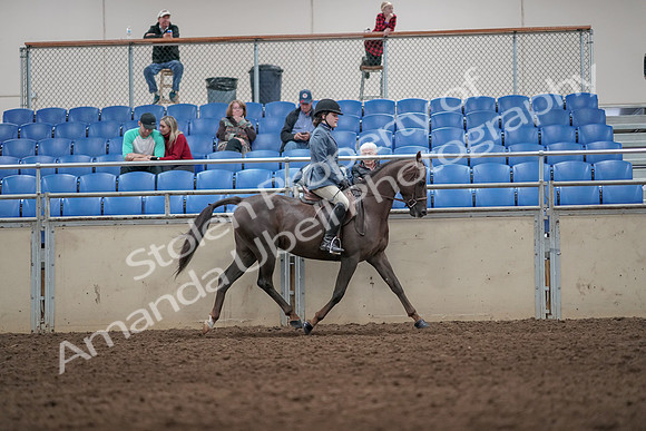 2019 Morgan Horse Show - Aug 31, 2019 - 07411