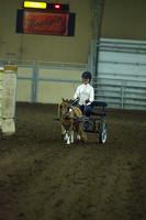 Class 174 - Pony Driving, Stake