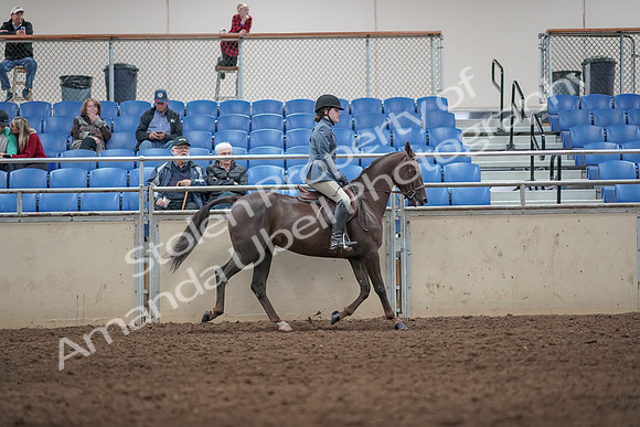 2019 Morgan Horse Show - Aug 31, 2019 - 07419