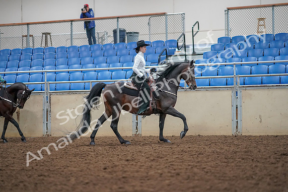 2019 Morgan Horse Show - Aug 30, 2019 - 16945
