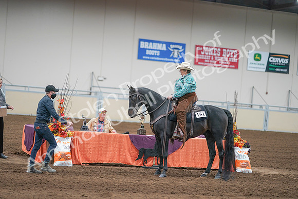 2020 - AB Morgan Horse - Sun, Sept 06 - 01661