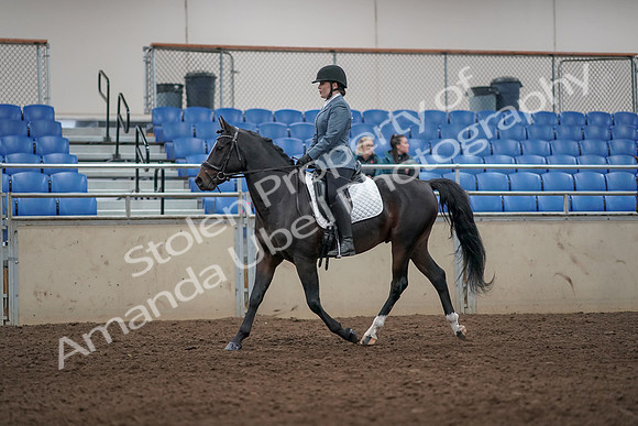 2019 Morgan Horse Show - Aug 31, 2019 - 07245