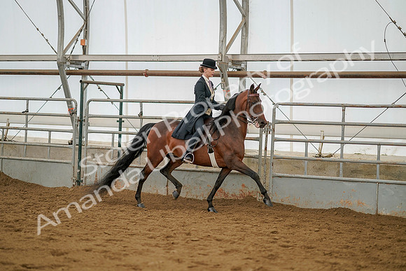 July 20, 2019 - 04596