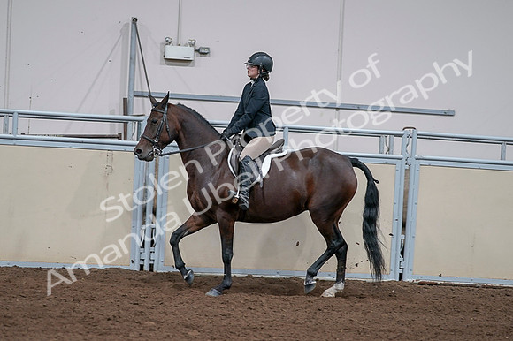 2020 - AB Morgan Horse - Fri, Sept 04 - 05960