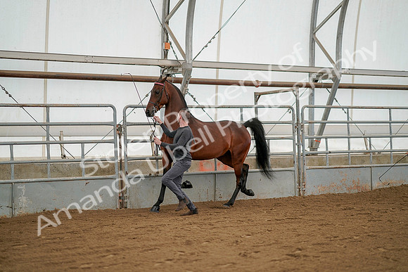 July 19, 2019 - 1238