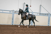 2020 - AB Morgan Horse - Sat, Sept 05 - 09058