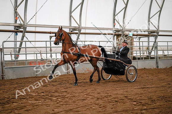 July 19, 2019 - 7087