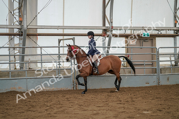July 20, 2019 - 03501