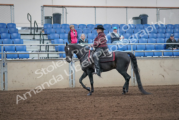 2019 Morgan Horse Show - Aug 31, 2019 - 10561