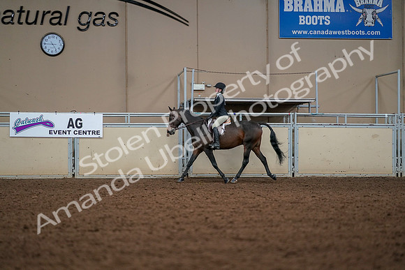 2019 Morgan Horse Show - Aug 30, 2019 - 23229