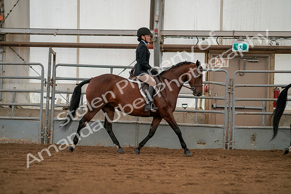 July 19, 2019 - 4101