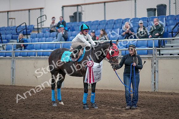 2019 Morgan Horse Show - Aug 31, 2019 - 10233