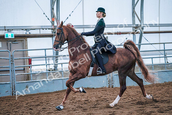 July 20, 2019 - 23905