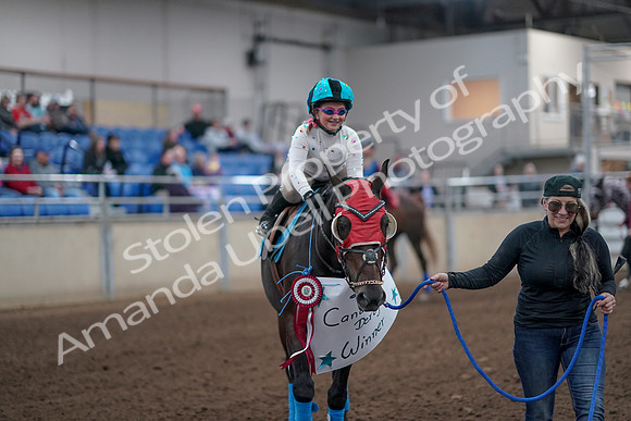 2019 Morgan Horse Show - Aug 31, 2019 - 09978