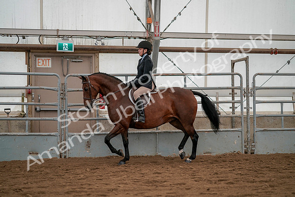 July 19, 2019 - 3918