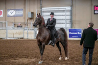 Spring Fling - Saturday - April 20, 2019  -  03636