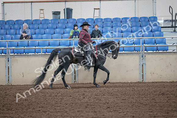 2019 Morgan Horse Show - Aug 31, 2019 - 10681