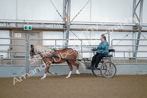 July 21, 2019 - 06724