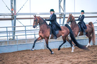 Class 089 - ASB Five-Gaited - Stake