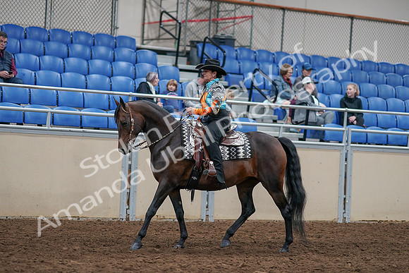 2020 - AB Morgan Horse - Sun, Sept 06 - 07487