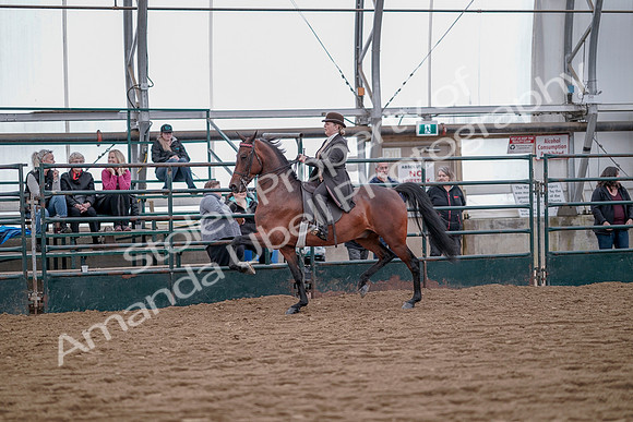 July 20, 2019 - 13866