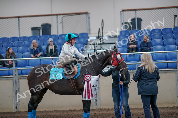 2019 Morgan Horse Show - Aug 31, 2019 - 10191