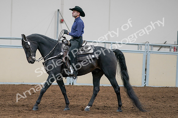 2020 - AB Morgan Horse - Sun, Sept 06 - 07657