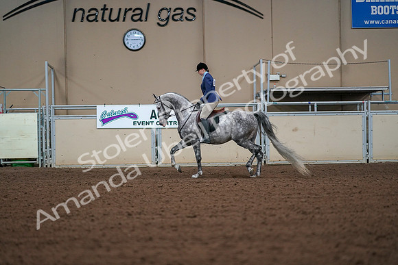 2019 Morgan Horse Show - Aug 30, 2019 - 16145