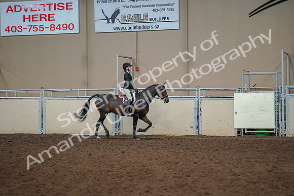 2019 Morgan Horse Show - Aug 30, 2019 - 12482