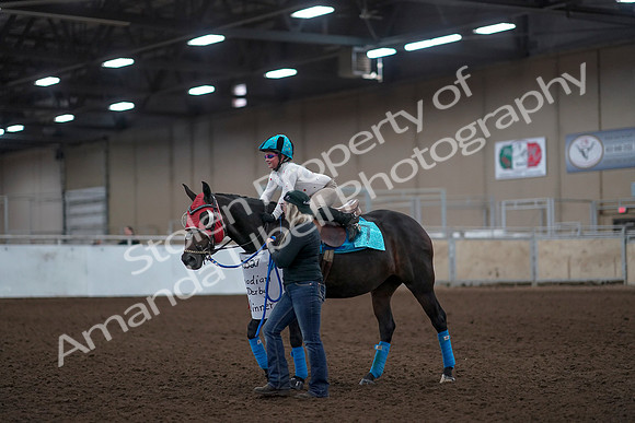 2019 Morgan Horse Show - Aug 31, 2019 - 10106