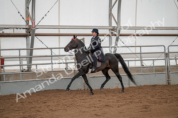 July 20, 2019 - 04481