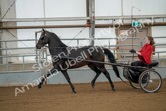July 20, 2019 - 00077