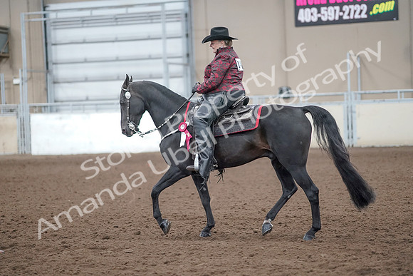 2019 Morgan Horse Show - Aug 31, 2019 - 10827