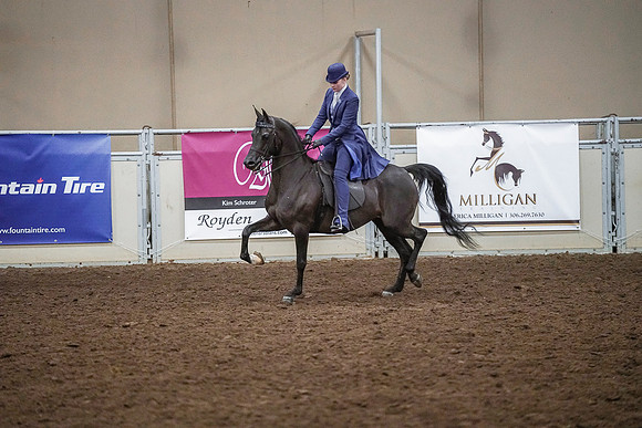 Spring Fling - Saturday - April 20, 2019  -  03911