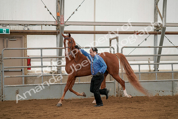 July 19, 2019 - 1387