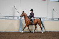 2020 - AB Morgan Horse - Sat, Sept 05 - 03049