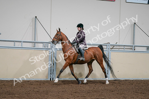 2020 - AB Morgan Horse - Sat, Sept 05 - 03049