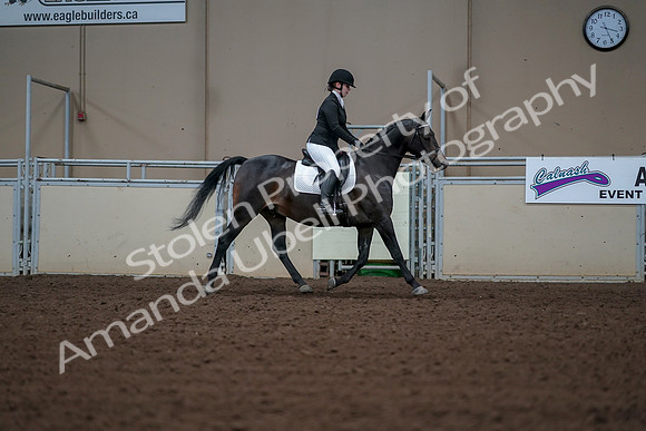 2019 Morgan Horse Show - Aug 30, 2019 - 18536