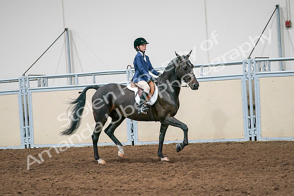2020 - AB Morgan Horse - Sun, Sept 06 - 08031